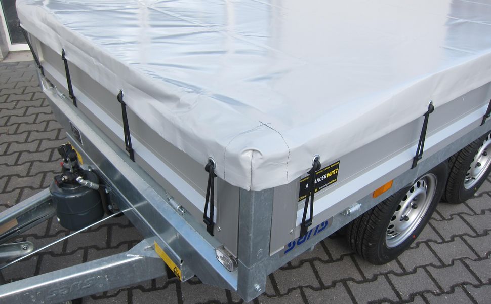 Saris Flachplane Sample.JPG