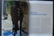 trailershop.de Handbuch Pferde Verladen Tip 