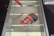 IMG-20160405-WA0020