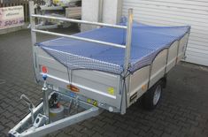 Netz 300 x 160cm mit Rand/Expanderseil 35mm Maschen für Anhänger bis M